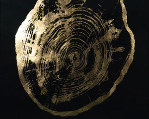 Time Lines (Set Of 4)  30" X 30"  Charcoal Frame