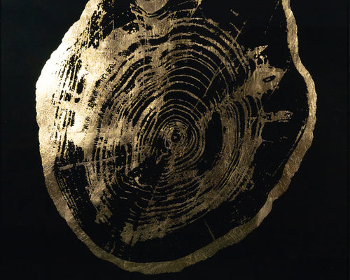 Time Lines (Set Of 4)  30" X 30"  Charcoal Frame