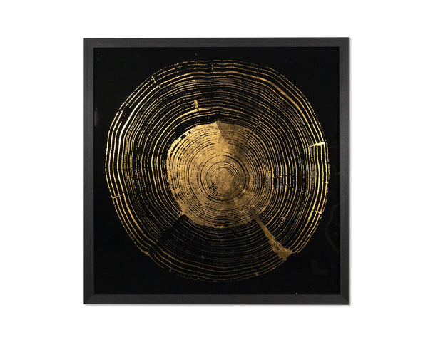 Time Lines (Set Of 4)  30" X 30"  Charcoal Frame