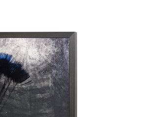 The Peacock  48" X 72"  Charcoal Frame