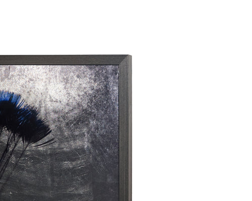 The Peacock  48" X 72"  Charcoal Frame