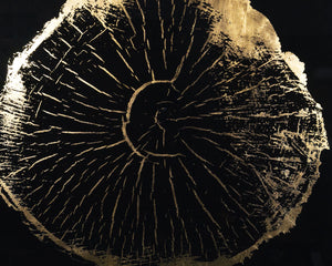 Time Lines (Set Of 4)  30" X 30"  Charcoal Frame