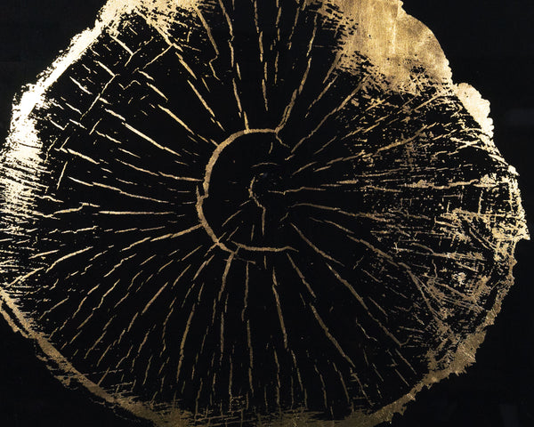 Time Lines (Set Of 4)  30" X 30"  Charcoal Frame