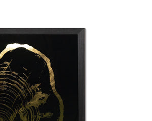 Time Lines (Set Of 4)  30" X 30"  Charcoal Frame