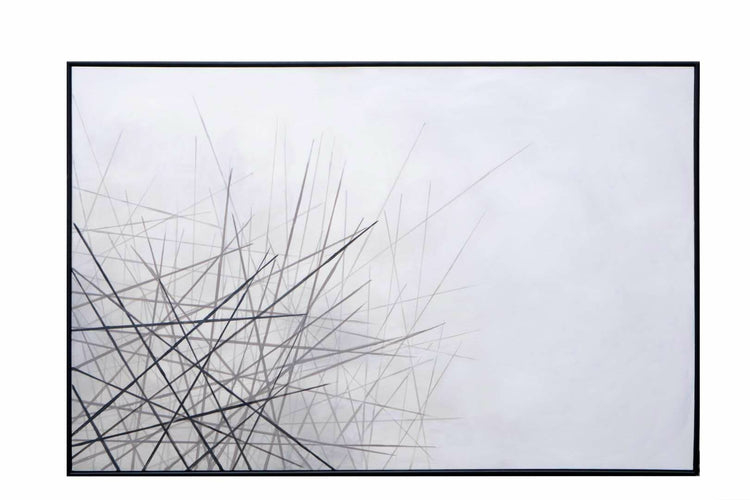 Fleeting Wish  72" X 48"  Black Floater Frame