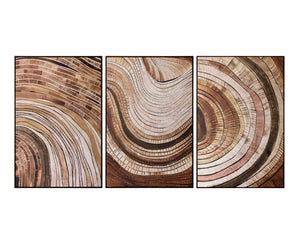 Turning Point I  40" X 60"  Bronze Floater Frame