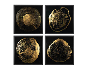 Time Lines (Set Of 4)  30" X 30"  Charcoal Frame