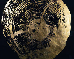 Time Lines (Set Of 4)  30" X 30"  Charcoal Frame