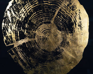 Time Lines (Set Of 4)  30" X 30"  Charcoal Frame