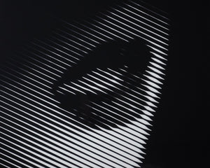 Stage Fright  40" X 60"  Charcoal Frame