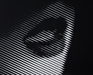 Stage Fright  40" X 60"  Charcoal Frame