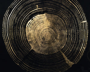 Time Lines (Set Of 4)  30" X 30"  Charcoal Frame