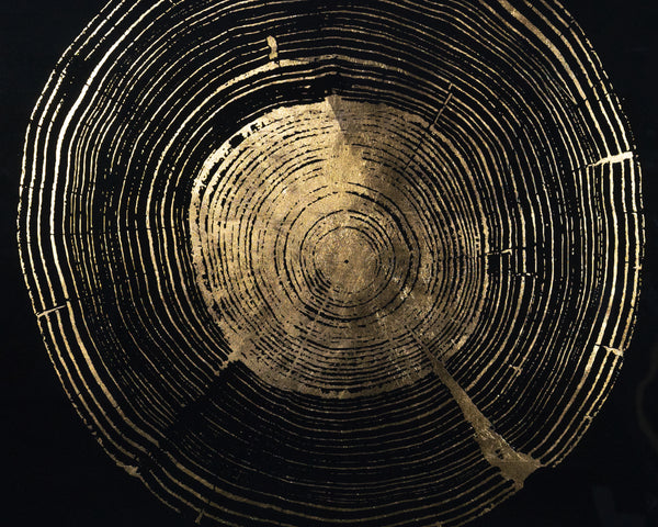 Time Lines (Set Of 4)  30" X 30"  Charcoal Frame