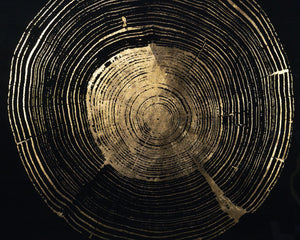 Time Lines (Set Of 4)  30" X 30"  Charcoal Frame