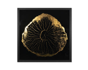 Time Lines (Set Of 4)  30" X 30"  Charcoal Frame