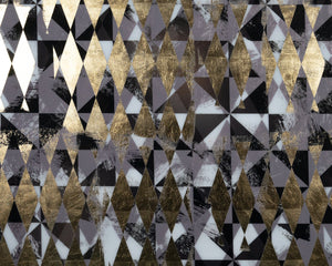 Overprint (Set Of 2)  38" X 48"  Black Frame