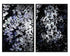 Floral Fantasy (Set Of 2)  40" X 60"  Charcoal Frame