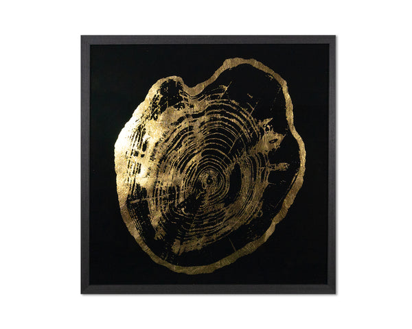 Time Lines (Set Of 4)  30" X 30"  Charcoal Frame