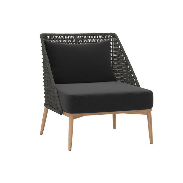 Andria Lounge Chair - Arashi Black