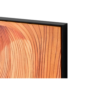 Canyon Dreams II - 48" X 48" - Black Floater Frame