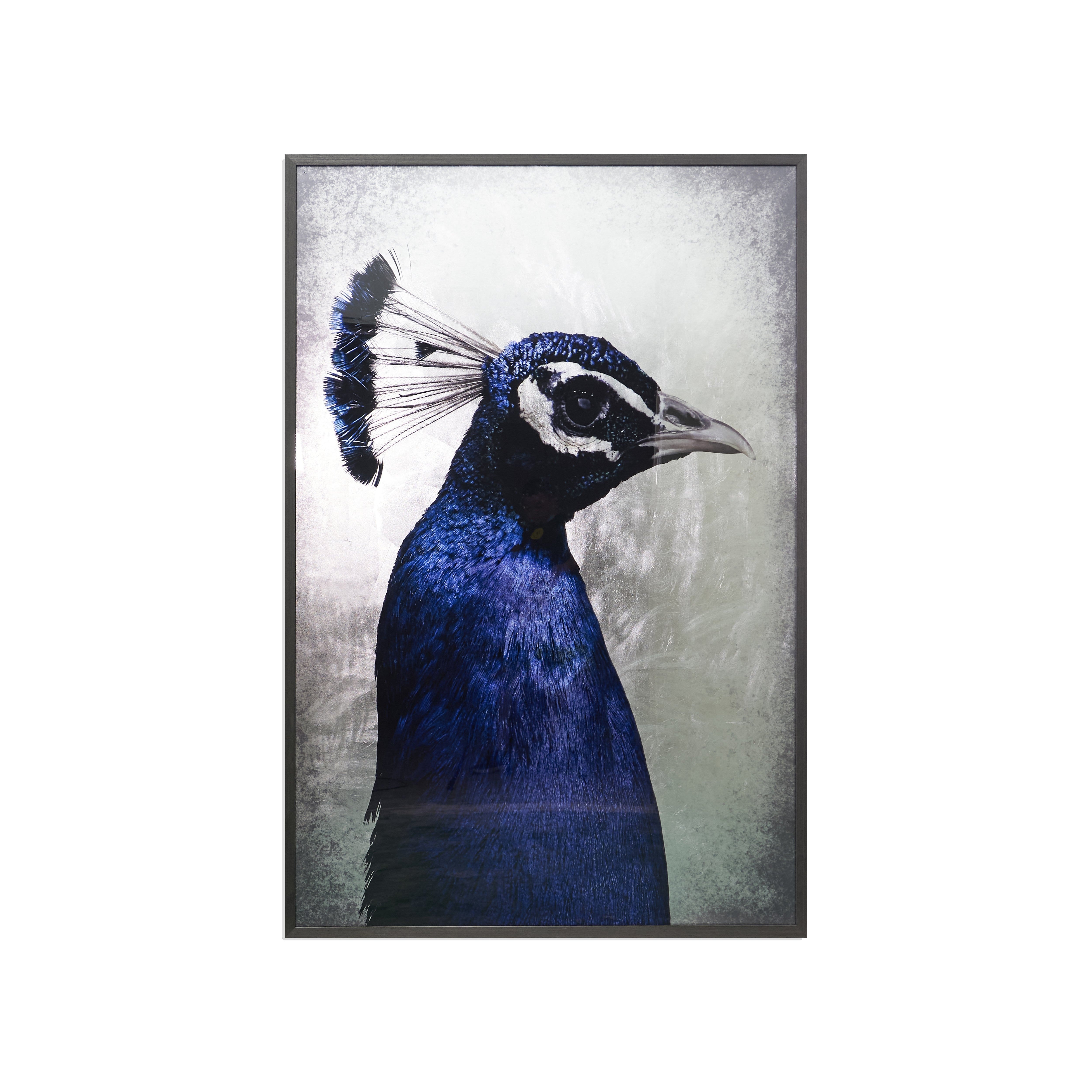 The Peacock - 48