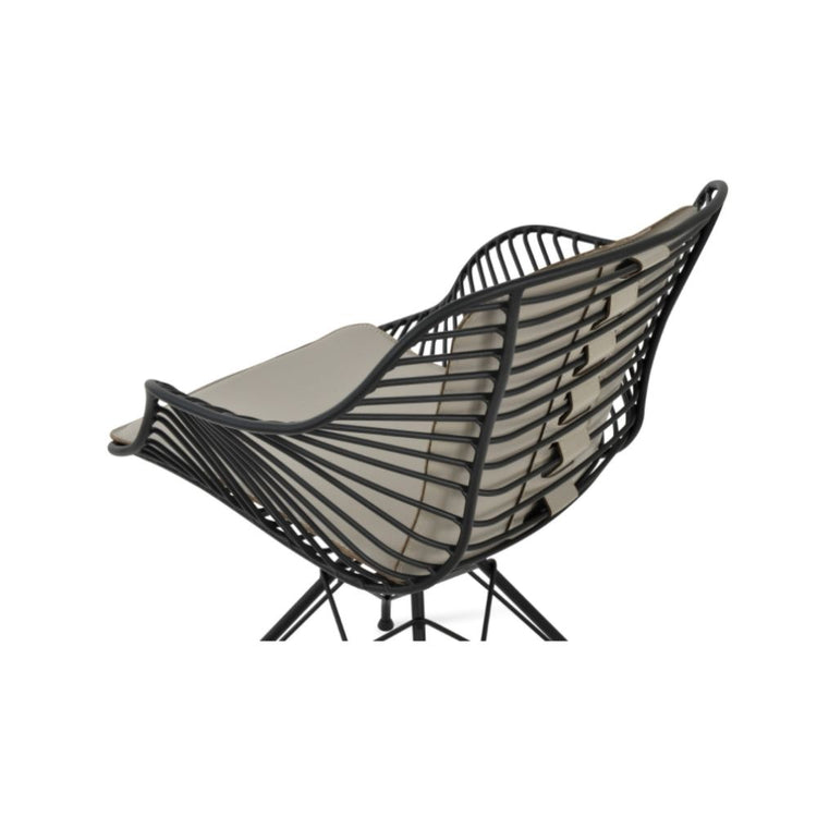 BT Zebra Chair