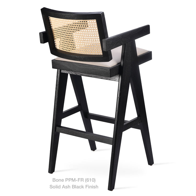 BT Pierre J Stool